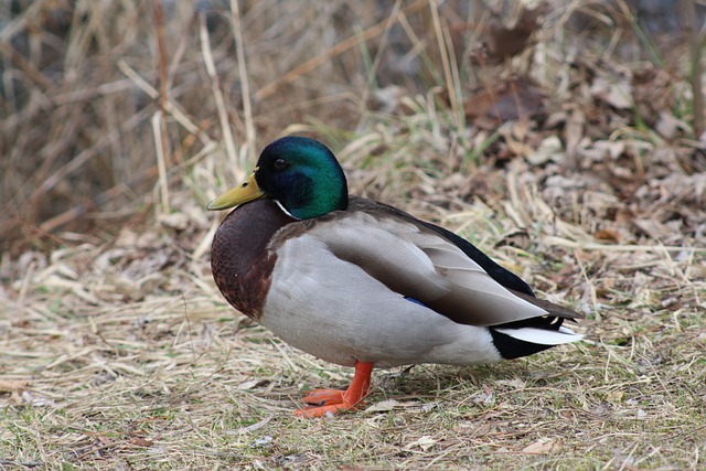 10 klassiske krydsord-nøgler – og hvordan du løser dem